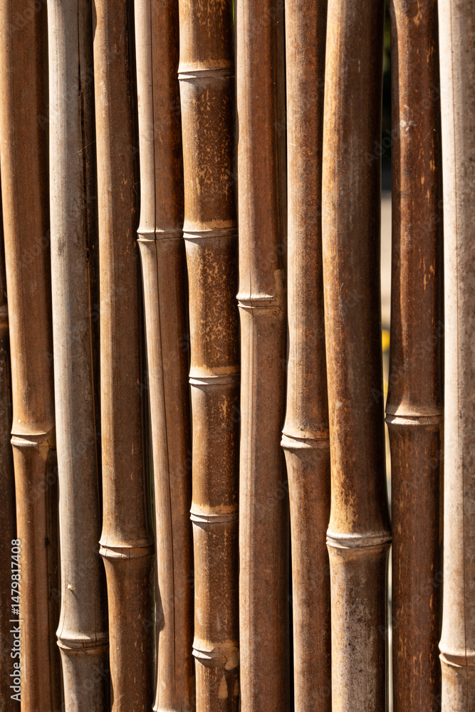Poster textured image of multiple brown bamboo poles standing close together, illuminated by sunlight.