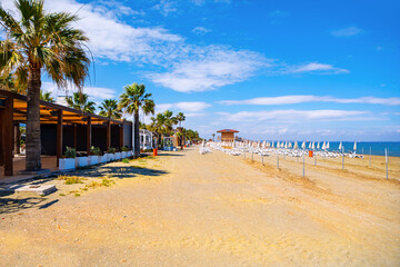 Mackenzie Beach in Larnaca Cyprus with sunny shoreline lined with palm trees and shaded cabanas, offering relaxing atmosphere. Beach extends towards sea with rows of white lounge chairs and umbrellas