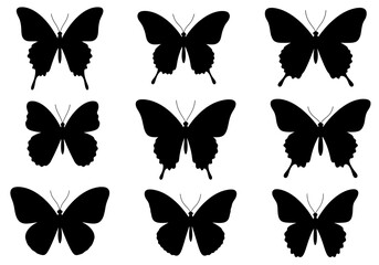 Fototapeta premium Elegant Black Butterfly Silhouettes: A Graphic Collection