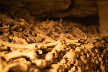 Close-up of stacked human remains in the eerie Paris Catacombs. A haunting image of history.