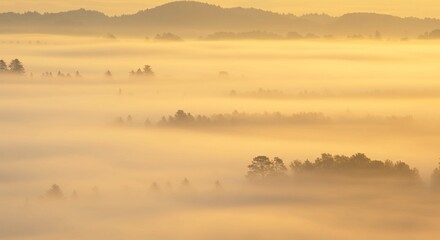 Golden Sunrise Mist Over Forest Landscape Serene Nature Scenery Misty Morning