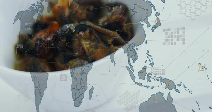 Cooked mussels being displayed in white ceramic bowl, featuring digital hex grid world map overlay