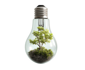 Eco energy: tree in light bulb for sustainability, cut out transparent