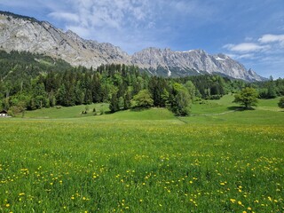 Blick auf den Grimming