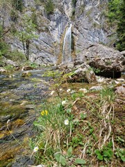 Idyll: Wunderschöner Wasserfall in der Steiermark