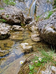 Gebirgsbach mit Wasserfall