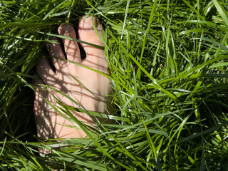 A person's foot nestled in vibrant, green grass.  Perfect for nature, summer, and relaxation themes.
