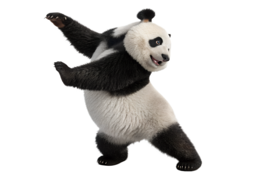 Funny panda dancing, 3D illustration isolated on transparent background
