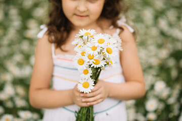 Cute little happy child girl at chamomile field picking flowers