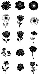 Elegant Black & White Floral Illustrations