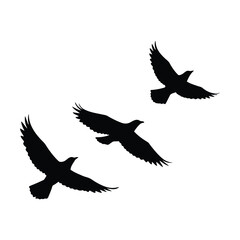 Obraz premium Flying birds silhouettes on a white background, vector illustration 