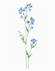 Obraz premium Watercolor painting of blue flowers on a white background, great for decorative use or as a design element