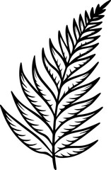 Obraz premium Fern leaf outline vector illustration in black and white