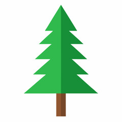 Pine Tree icon on white background