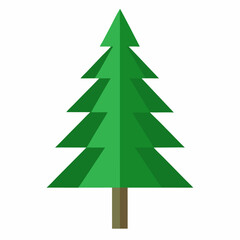Pine Tree icon on white background