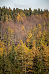 Monte Cimone, comune di Sestola, provincia di Modena, Emilia Romagna