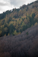 Monte Cimone, comune di Sestola, provincia di Modena, Emilia Romagna