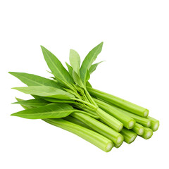 鮮やか緑葉の空芯菜、瑞々しく並ぶ茎、食欲をそそる配置