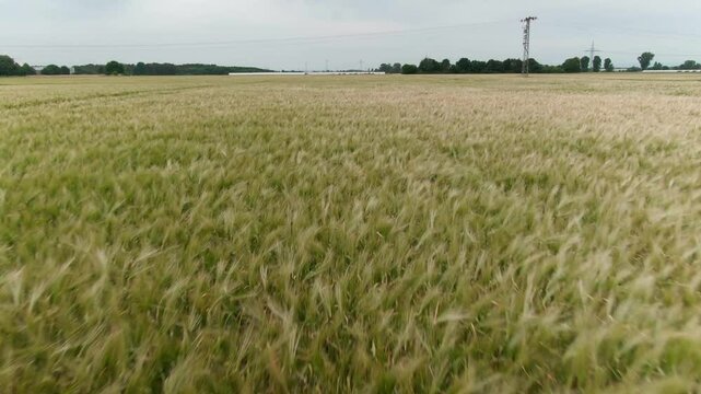 Drone Footage of Vast Farmland in Summer &ndash; Aerial View of Agricultural Landscape in Europe