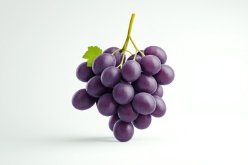 Fototapeta premium Fresh bunch of purple grapes hanging with a green leaf on white background