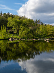 A body of water surrounded by trees and rocks
