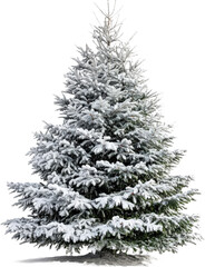 Fototapeta premium Snowy Christmas Tree Decoration