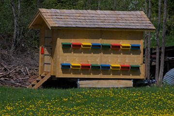 Experience a unique house of bees where modern lines meet organic honeycomb texture in warm, earthy hues, radiating sustainable charm and cozy elegance.