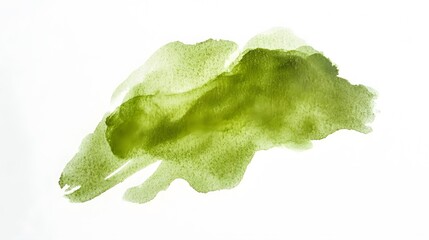 Abstract olive green paint splatter on white background.