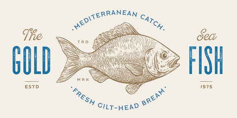 Gilt-head bream, fish, Dorado, seafood, sketch. Vintage retro print, seafood fish sketch, logo sign template, ink pencil style drawing, engrave old school. Hand drawn sketch fish. Vector Illustration © foxysgraphic