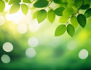Naklejka premium blur natural green leaves bokeh background green bokeh on nature abstract blur background blur greenery blurred green leaf nature background leaves on blurred green background for banner poster