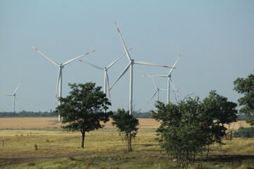 wind turbines in a field on a sunny day