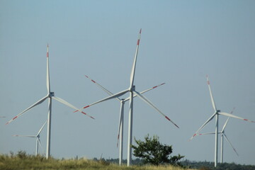 wind power plants in a field on a sunny summer day