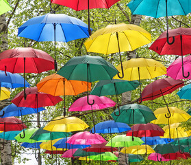 Installation of multi-colored open umbrellas floating in the air against the backdrop of spring green foliage