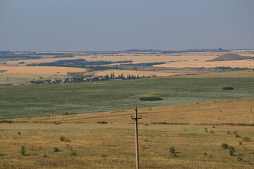 Fototapeta premium landscape of fields in the south of Russia in the middle of summer on a sunny day