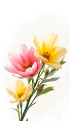 Naklejka premium yellow and pink flower