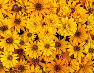 黄色の花　背景