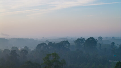 Aerial vire tropical green background of tropical rain forest morning with fog
