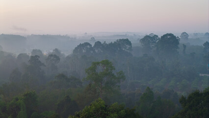 Aerial vire tropical green background of tropical rain forest morning with fog