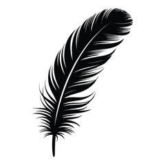 Fototapeta premium Pelican Feather Silhouette, Vector, Illustration, Icon, Logo, White Background.