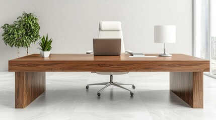Modern executive office interior