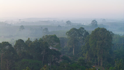 Aerial vire tropical green background of tropical rain forest morning with fog