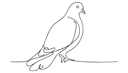 Continuous one single minimal line drawing Columbidae