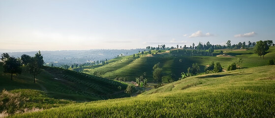 Green Terraced Hills With Valley View