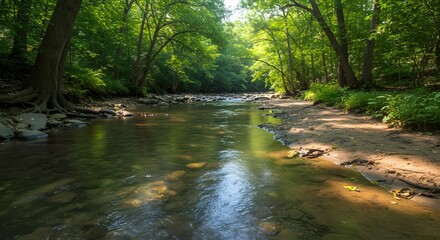 Obraz premium Serene Forest Stream Tranquil Nature Photography