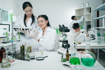 Algae microbiology research in a biotechnology laboratory explores alga-based biofuel and algal...