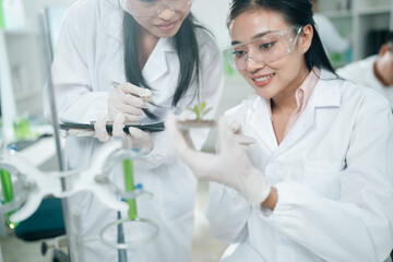 Botanical research in a scientific laboratory focusing on plant growth, biotechnology, and...