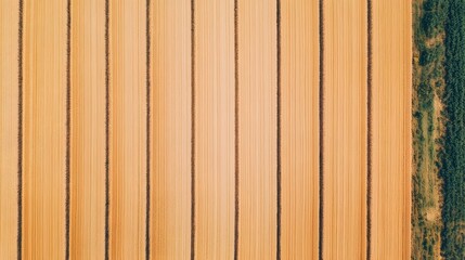 Naklejka premium Aerial view of solar panels across a green field