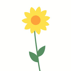 Bright Sunflower in Spring Meadow with Green Leaves