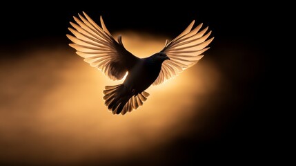 Obraz premium Majestic bird in flight dramatic lighting nature photography ethereal background captivating perspective