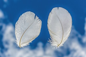 Two delicate white feathers float against a vibrant blue sky dotted with fluffy white clouds.  The feathers' intricate structure is clearly visible